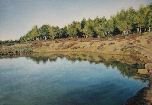 Obra de Mara Felix Rodrguez Garca