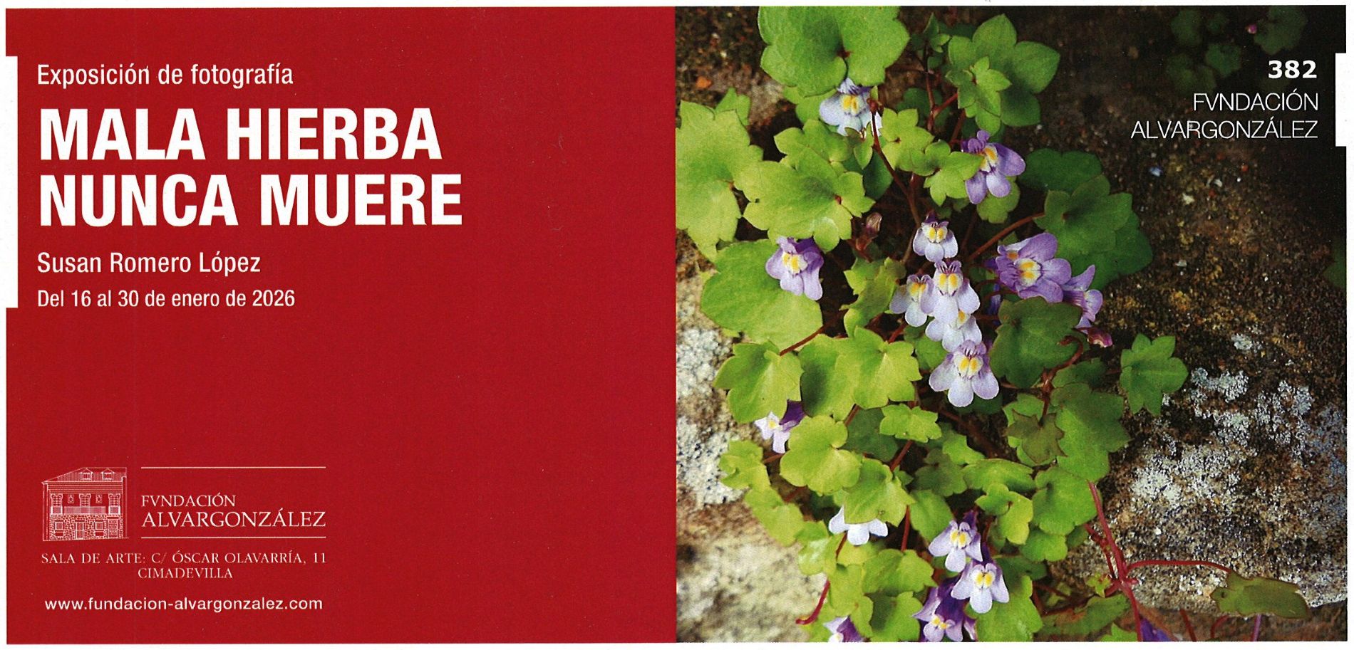 MALA HIERBA NUNCA MUERE